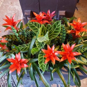 Meet your Posher, Alynn